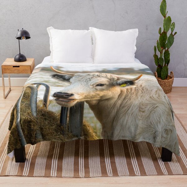 Item preview, White Park Cow II designed and sold by Jane Stanley Photography.