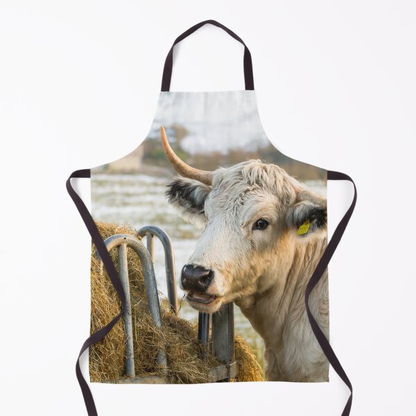 Item preview, White Park Cow II designed and sold by Jane Stanley Photography.