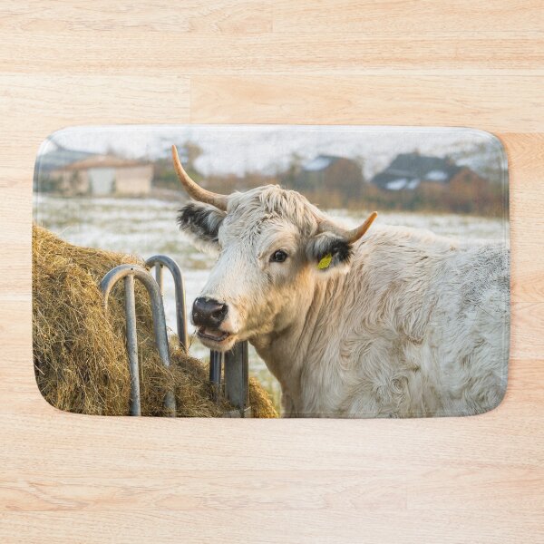 Item preview, White Park Cow II designed and sold by Jane Stanley Photography.
