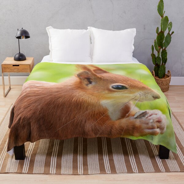 Item preview, Squirrel Sparkle in the Sun designed and sold by rawshutterbug.