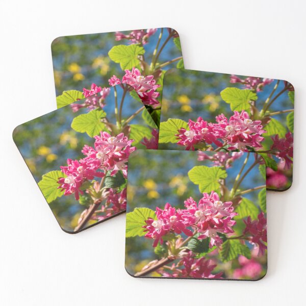 Item preview, beautiful flowers of a currant bush in bright pink designed and sold by TW-Fotos.