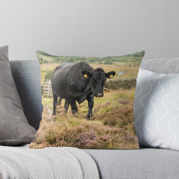 Item preview, Black Cow and Heather Landscape designed and sold by Jane Stanley Photography.