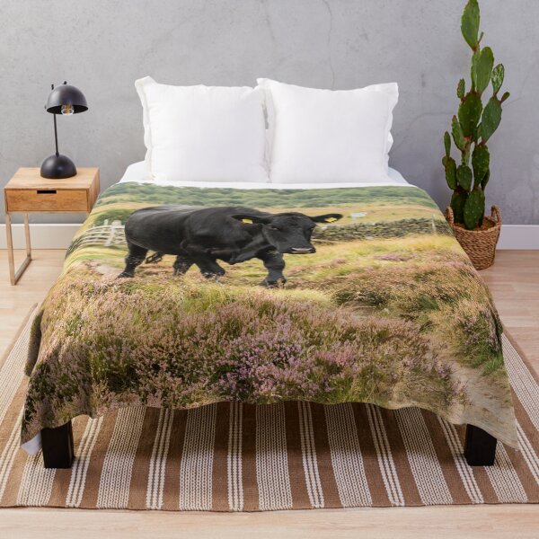 Item preview, Black Cow and Heather Landscape designed and sold by Jane Stanley Photography.