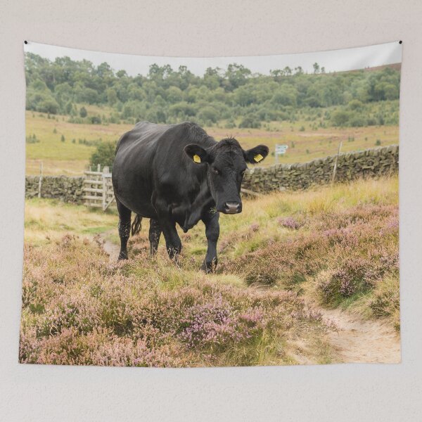 Item preview, Black Cow and Heather Landscape designed and sold by Jane Stanley Photography.
