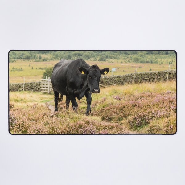 Item preview, Black Cow and Heather Landscape designed and sold by Jane Stanley Photography.