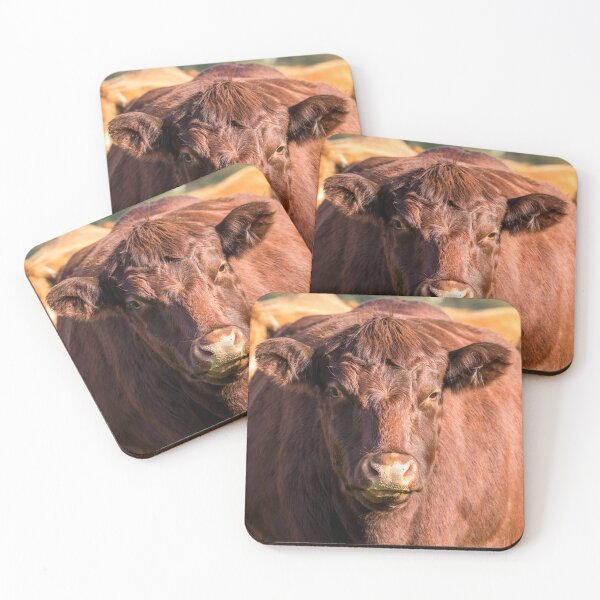 Item preview, Red Poll Cow designed and sold by Jane Stanley Photography.