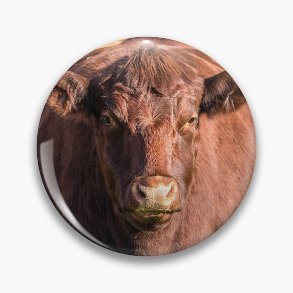 Item preview, Red Poll Cow designed and sold by Jane Stanley Photography.
