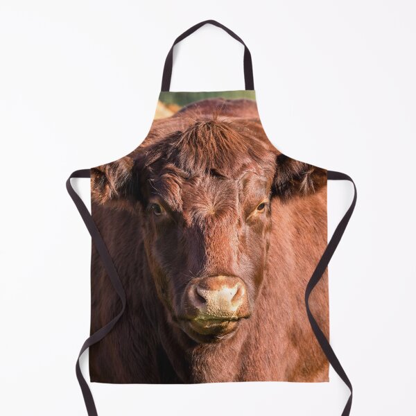 Item preview, Red Poll Cow designed and sold by Jane Stanley Photography.