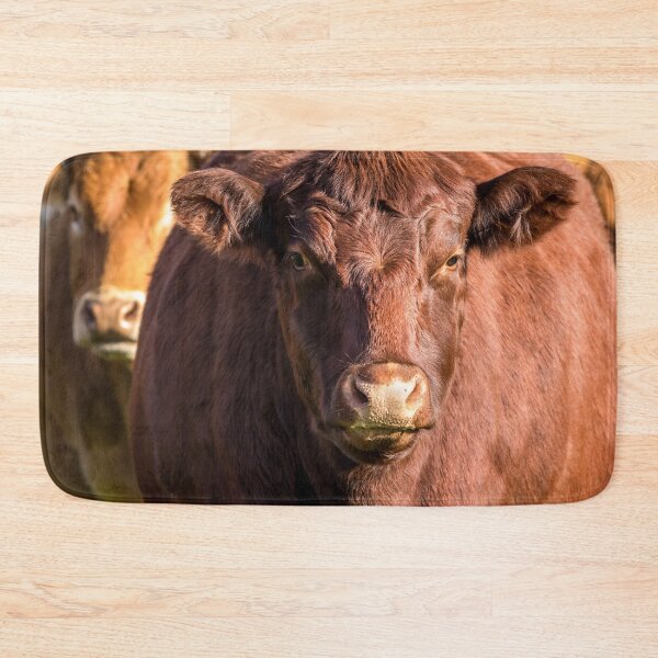 Item preview, Red Poll Cow designed and sold by Jane Stanley Photography.