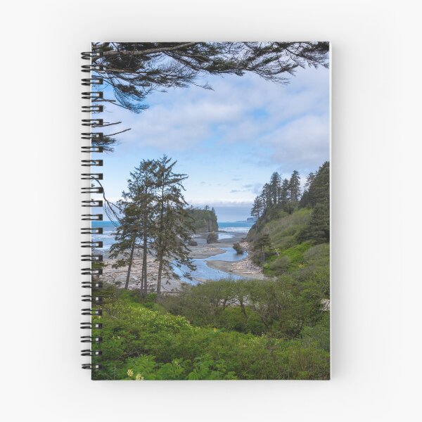 Item preview, A View of Ruby Beach designed and sold by TinyDinoDesigns.