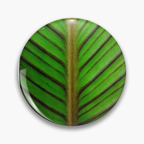 Item preview, Green Paths designed and sold by Raebrycen.