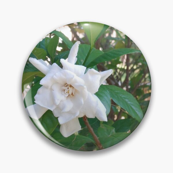 Item preview, Gardenia  designed and sold by Suzabella25.