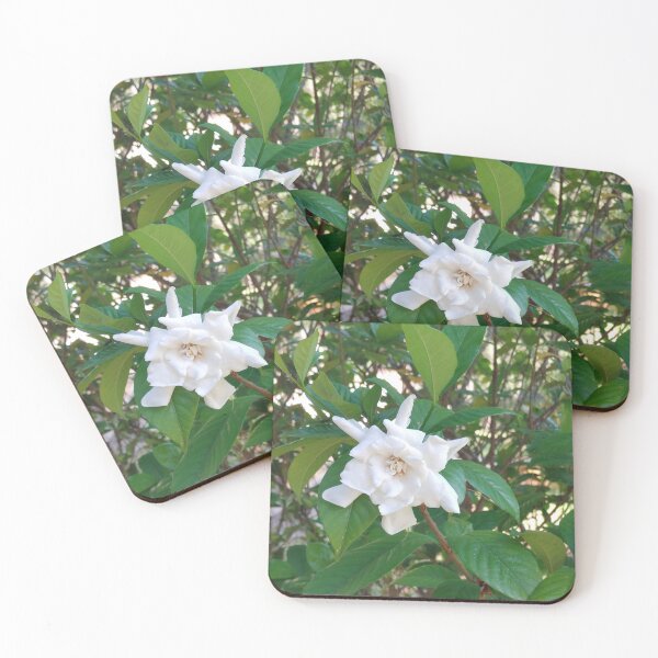Item preview, Gardenia  designed and sold by Suzabella25.