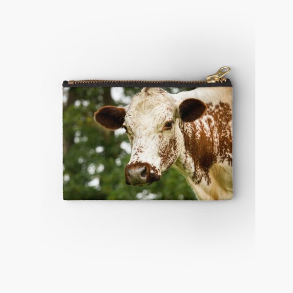 Item preview, Irish Moiled Cow designed and sold by Jane Stanley Photography.