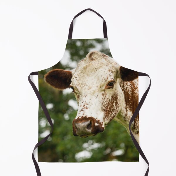 Item preview, Irish Moiled Cow designed and sold by Jane Stanley Photography.