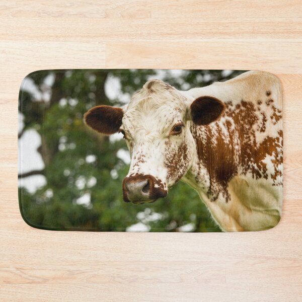 Item preview, Irish Moiled Cow designed and sold by Jane Stanley Photography.