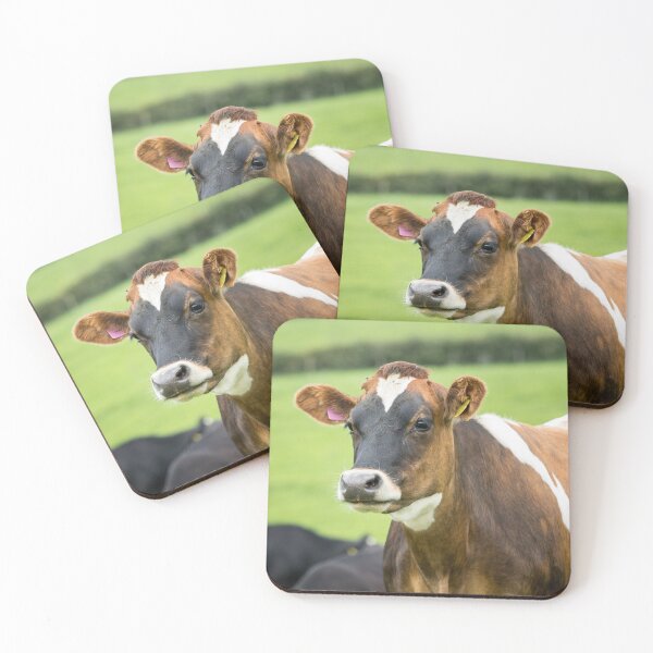Item preview, Jersey Cow designed and sold by Jane Stanley Photography.