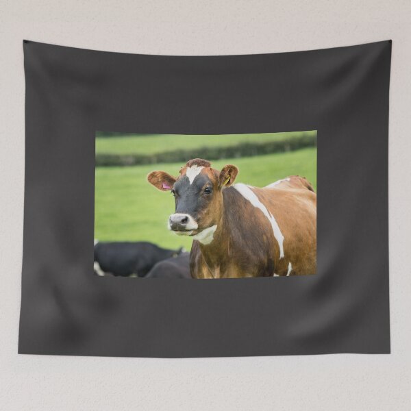 Item preview, Jersey Cow designed and sold by Jane Stanley Photography.