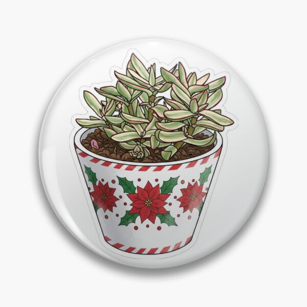Item preview, Crassula Rubricaulis Candy Cane designed and sold by Homelesssquid's Stickers & More.