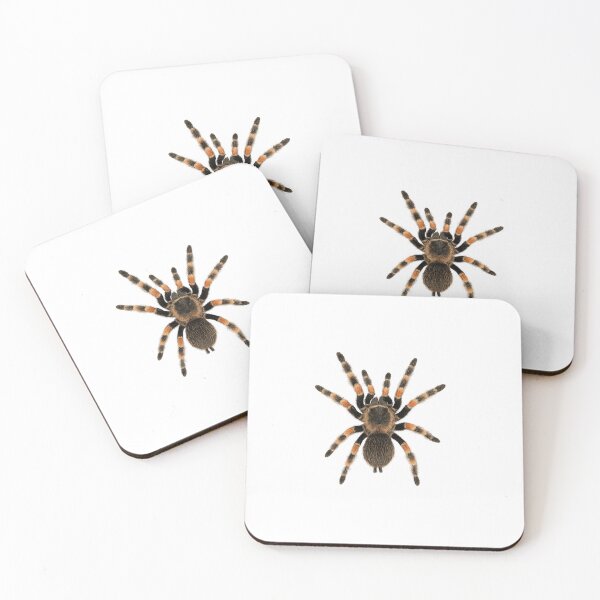 Item preview, Mexican Redknee Tarantula – Top View PNG designed and sold by Pocket of Treasures.