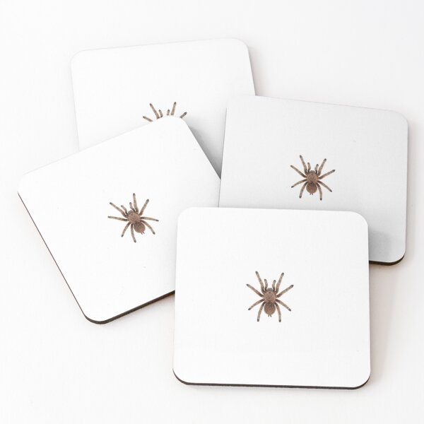 Item preview, Chilean Rose Tarantula – Top View PNG designed and sold by Pocket of Treasures.