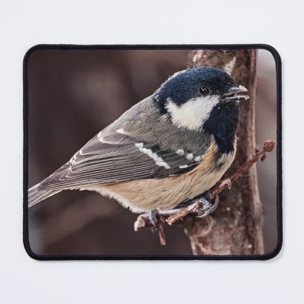Item preview, Coal Tit in Tree designed and sold by Tom McPherson Photography.