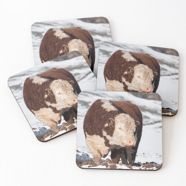 Item preview, Hereford Bull designed and sold by Jane Stanley Photography.