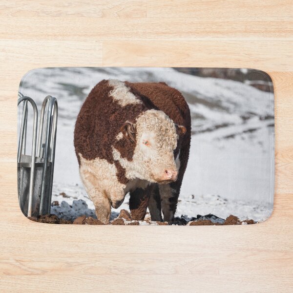Item preview, Hereford Bull designed and sold by Jane Stanley Photography.