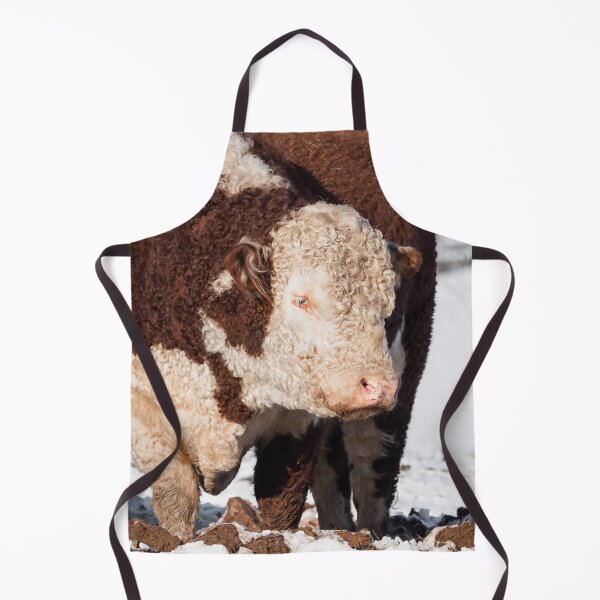 Item preview, Hereford Bull designed and sold by Jane Stanley Photography.