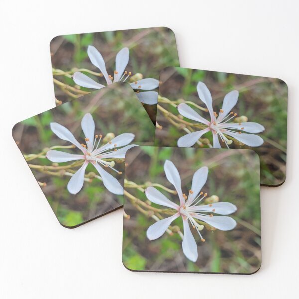 Item preview, White wildflower on the trail designed and sold by Jmb67.