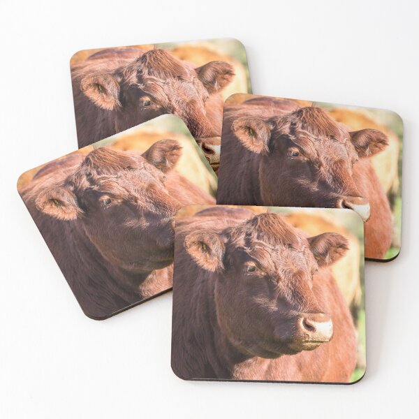 Item preview, Red Poll Cow II designed and sold by Jane Stanley Photography.