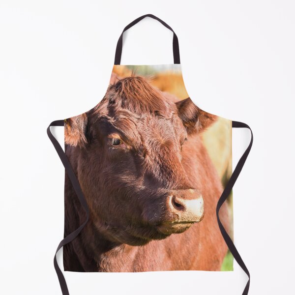 Item preview, Red Poll Cow II designed and sold by Jane Stanley Photography.