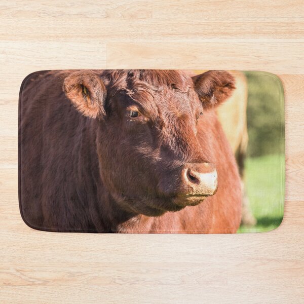 Item preview, Red Poll Cow II designed and sold by Jane Stanley Photography.