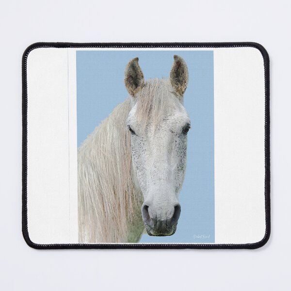 Item preview, Camargue horse designed and sold by NorbertRicaud.
