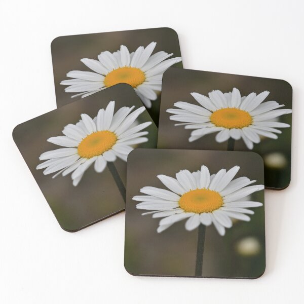 Item preview, Simple Elegance designed and sold by One Shropshire Man and His Camera.