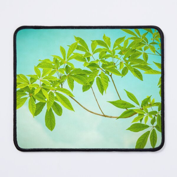 Item preview, Tabebuia Green Leaves over Water X102 designed and sold by RichFrancoCars.