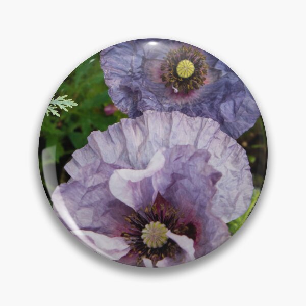 Item preview, A poppy called Amazing Grey designed and sold by Josie Gilbert.