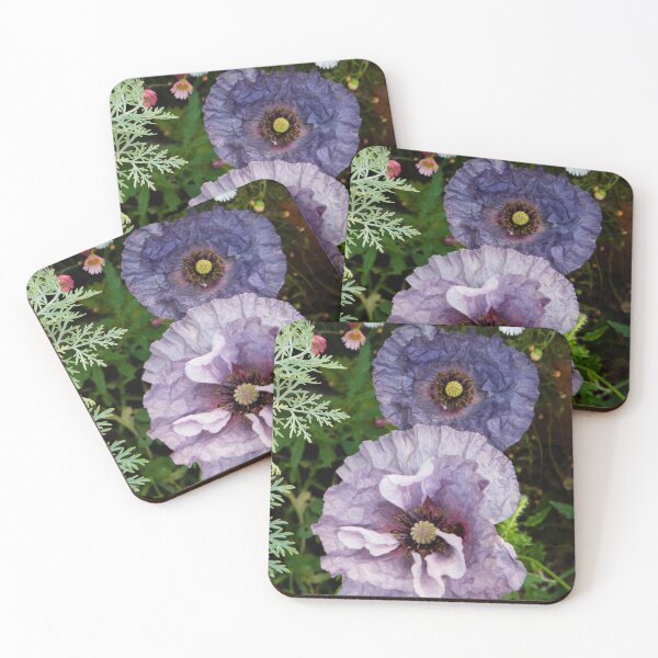 Item preview, A poppy called Amazing Grey designed and sold by Josie Gilbert.