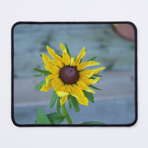 Item preview, Black Eyed Susan Flower starting to get wilty :)  designed and sold by DianeBP.