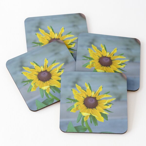 Item preview, Black Eyed Susan Flower starting to get wilty :)  designed and sold by DianeBP.