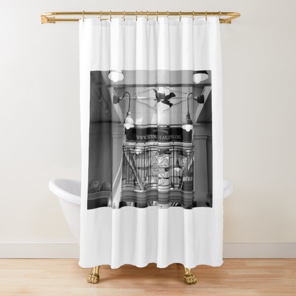 Item preview, Historic Charleston Market Ceiling Scene designed and sold by Cynthia48.
