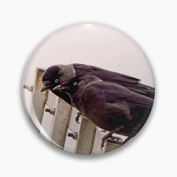 Item preview, Jackdaws conspiring designed and sold by kavohh707.