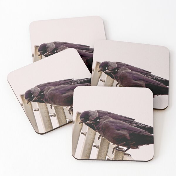 Item preview, Jackdaws conspiring designed and sold by kavohh707.
