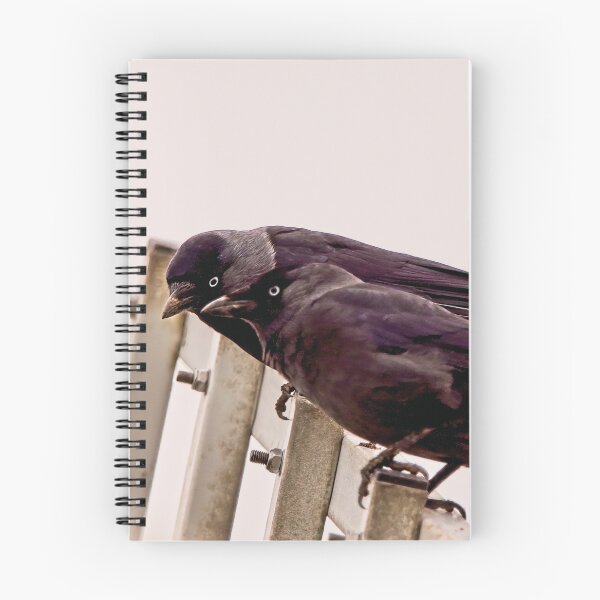 Item preview, Grajillas conspirando designed and sold by kavohh707.