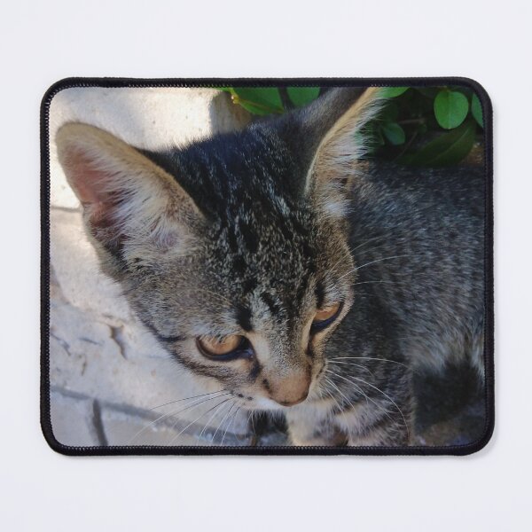 Item preview, Little tabby cat designed and sold by Goca Shop.
