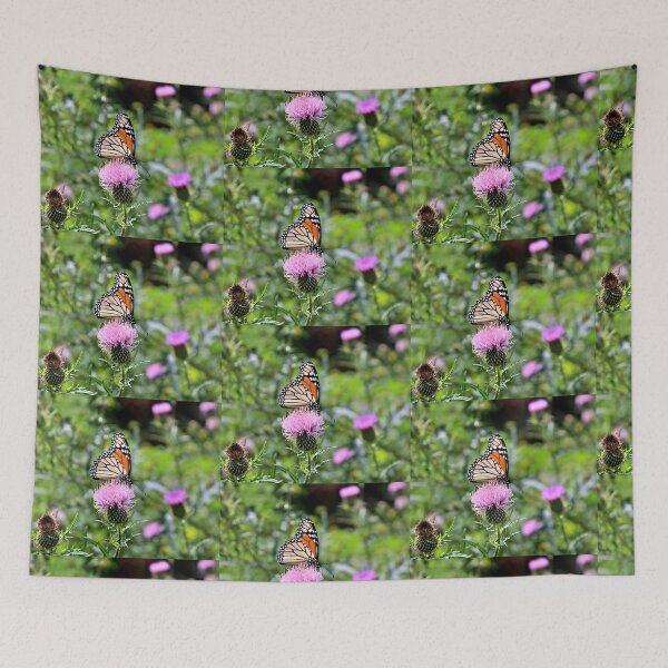 Item preview, Monarch Butterfly Feeding on a Thistle designed and sold by Martha Sherman.