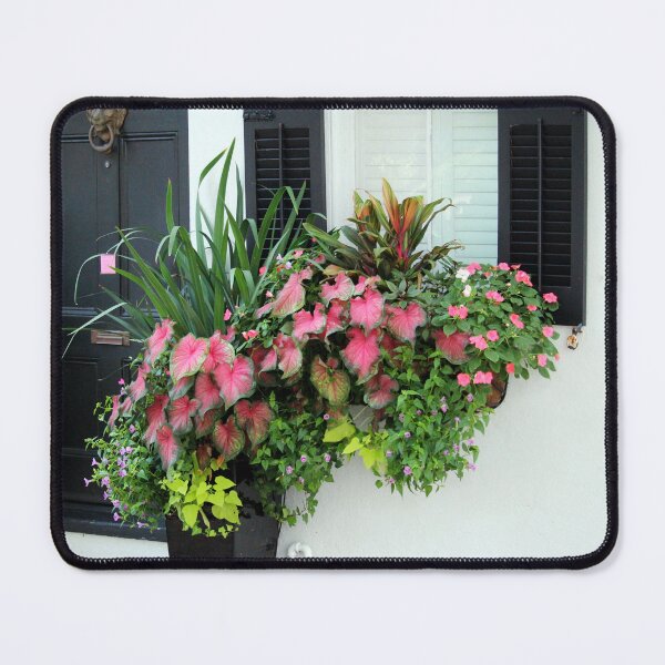 Item preview, Vibrant Garden Window Display designed and sold by Cynthia48.