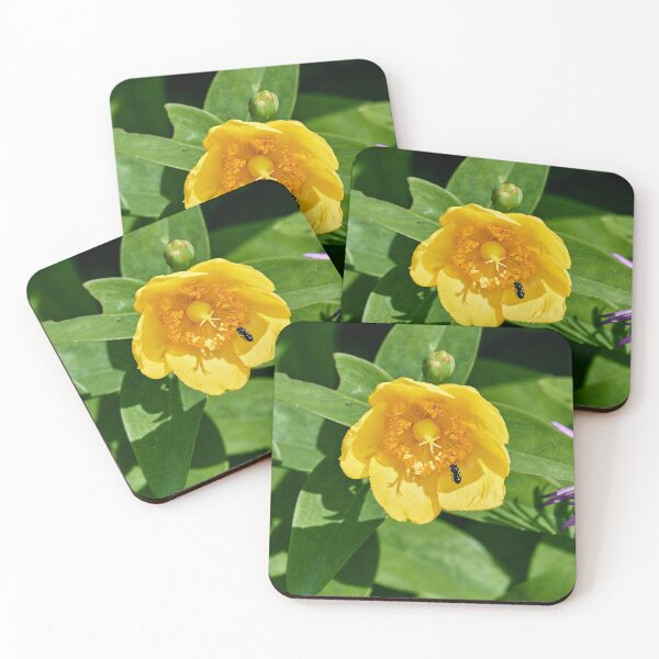 Item preview, On Approach designed and sold by Eidetic Photos.