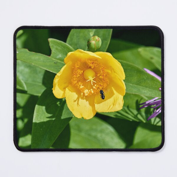 Item preview, On Approach designed and sold by Eidetic Photos.