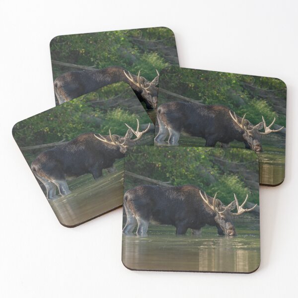Item preview, Moose designed and sold by ART-SUNRISE.